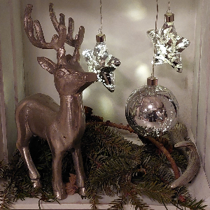 PGV - Schellhorn - 12.12.2022